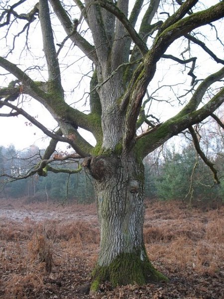 2007 02 Sortie traces 29